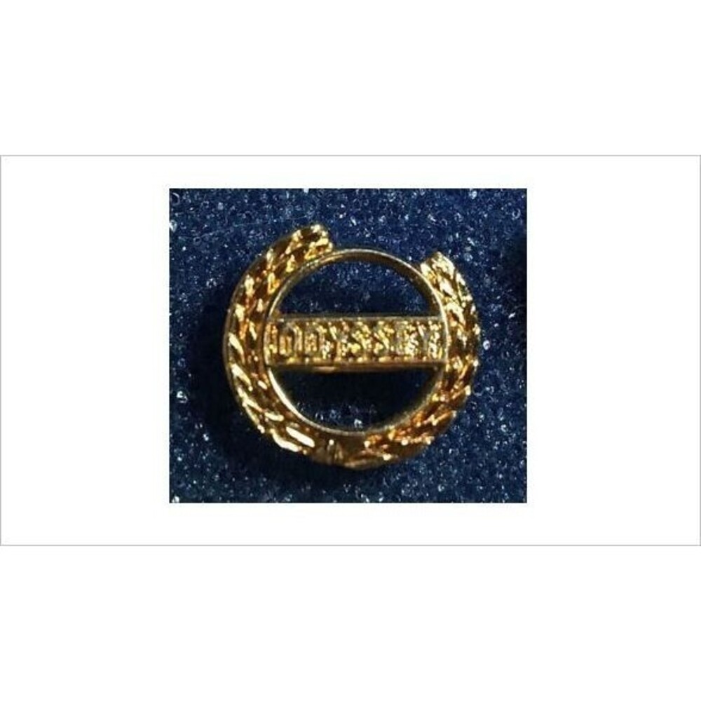ODYSSEY Logo,Lapel Pin Post back Pin
